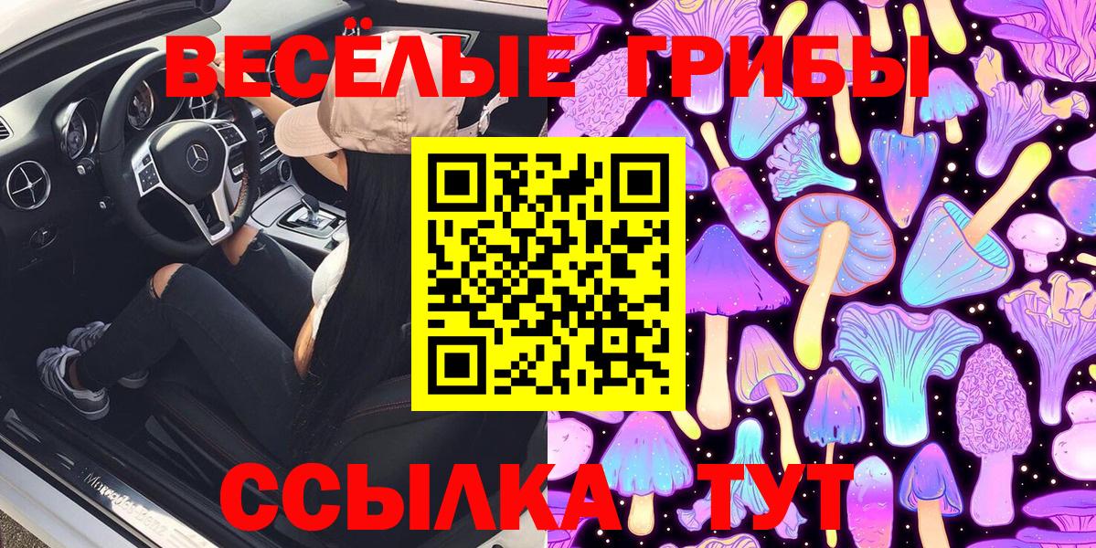 Галлюциногенные грибы прущие грибы  Галлюциногенные грибы Psilocybine cubensis  Аша  Вход с VPN 